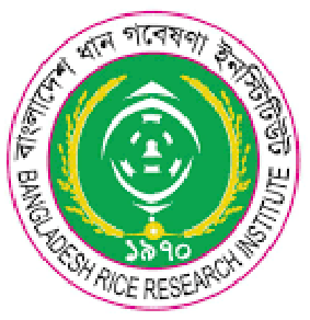 BRRI